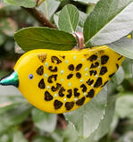 Canaries Together
