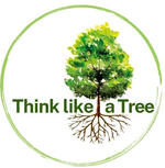 Think Like a Tree